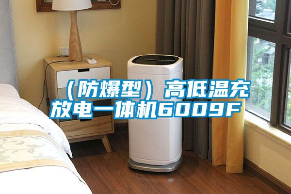 (防爆型)高低溫充放電一體機6009F