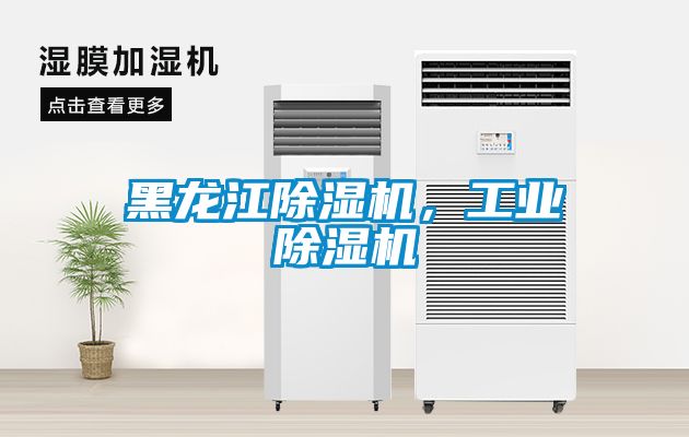 黑龍江除濕機，工業除濕機
